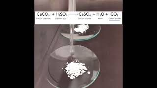 calcium carbonate reaction with hydrochloric acid  Caco3 reaction with HCl [upl. by Boelter]