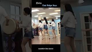 Elvira Line DanceAbsolute Beginner [upl. by Leimad]