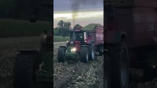 Case IH 1455 XL Power [upl. by Norman]