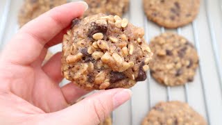 WOW Delicious Oatmeal COOKIES with Chocolate Chips [upl. by Nodnarb115]