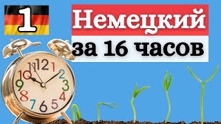 НЕМЕЦКИЙ ЗА 16 ЧАСОВ  урок 1  спряжение глаголов [upl. by Eras]