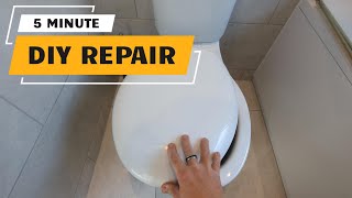 Loose toilet seat cover EASY FIX [upl. by Rawden868]