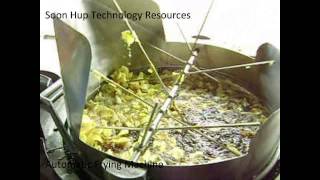 Stainless Steel Auto Frying Machine [upl. by Husein]