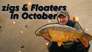 Zigs amp Floaters In October Carp Fishing Ellis Brazier [upl. by Lorac]