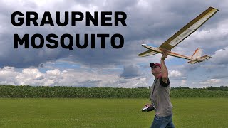 GRAUPNER MOSQUITO  25m vintage RC glider  4K  2024 [upl. by Einreb313]