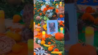 celebration diademuertos tualatin oregon [upl. by Corliss]