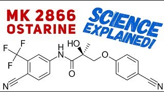 Ostarine Science Explained  Science Behind Ostarine  MK2866  SARMs  Enobosarm [upl. by Aikan195]