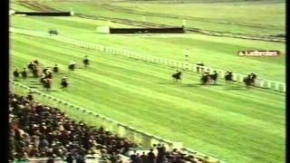 1975 Burmah Castrol Ayr Gold Cup Handicap [upl. by Kersten]