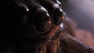 Arachnophobia Full Movie Facts amp Review in English  Jeff Daniels  Julian Sands [upl. by Airres]