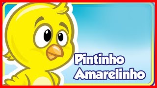 🐥 Meu Pintinho Amarelinho  Música infantil Animada 🎶 [upl. by Hoffarth]