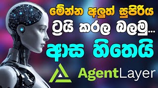 Agent Layer testnet airdrop sinhala new airdrop sinhala free airdrop sinhala airdropsinhala [upl. by Nosa]