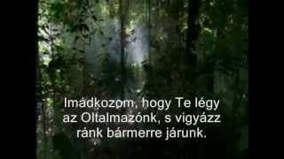 Az Ima  The Prayer Celine Dion amp A Bocelli Magyar fordítás BBC Planet Earth footage [upl. by Airetnahs]