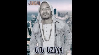 JuaCali  Nipe Mkono Ft TeeHits Official Audio [upl. by Enirtak679]