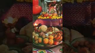 Diwali vibe 2024 Laxmi Pujan diwalifestival love light shortvideo [upl. by Niddala]