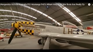 Wangaratta Victoria Australia P51 Mustangs P40quots Where they Build War Birds that Really Fly [upl. by Anoj]