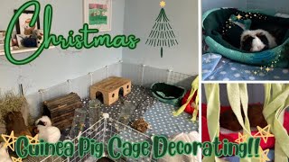 Decorating my Guinea Pig Cage for Christmas 🎄🐻‍❄️ [upl. by Hali]