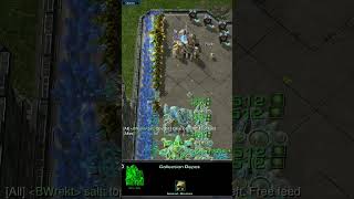 Probes vs Zealot starcraft2 [upl. by Iveson]