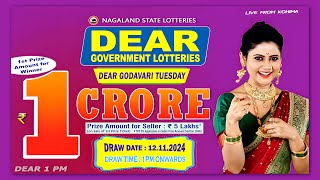 LOTTERY LIVE 1PM TODAY 12112024  Morning Nagaland Lottery Sambad LIVE [upl. by Nels]