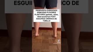 EJERCICIOS FLEXORES PLANTARES gemelo sóleo tibial posterior ytshorts fisioterapia fyp viral [upl. by Fredra]