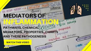 Mediators of inflammation with properties and charts  Pathology [upl. by Horace]