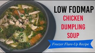 Low FODMAP Chicken Dumpling Soup  Freezer Flareup Recipe [upl. by Fabio396]