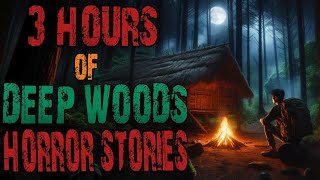 20 SCARY DEEP WOODS HORROR STORIESPARK RANGER SKINWALKER CAMPING Scary Stories To sleep [upl. by Laram]