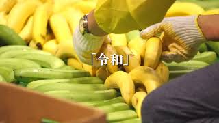 “Reiwa” portrayed using Gokusen bananas [upl. by Iphagenia431]