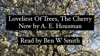 Loveliest Of Trees The Cherry Now by A E Housman  British accent read by Ben W Smith [upl. by Travus317]