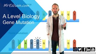 Gene mutation  A Level Biology [upl. by Ogg695]