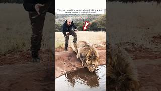 Kind man saved a lion cub who then became his best friend shorts [upl. by Verene]