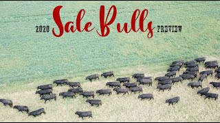 Eaglehawk Angus Pre Sale Video 2020 [upl. by Aleydis]