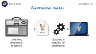 EP05 RAW vs JPEG  Back to Basics by Learning DSLR [upl. by Leonora843]