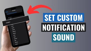 Customize iPhone Notification Sound On IOS 17 [upl. by Nwahsat917]