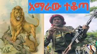 New Amhara fano kererto አማራው ተቆጥቶ ተነስቷል ፋኖ [upl. by Crooks]