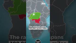 5 Largest Forests on Earth [upl. by Helms]