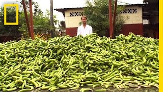 Tristram Stuart The Beauty of Ugly Food  Nat Geo Live [upl. by Lyrac]