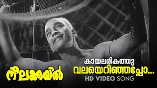 Kaayalarikathu Valayerinjappo  HD Video Song  KRaghavan  PBhaskaran  Neelakuyil1954 [upl. by Nytsirc958]