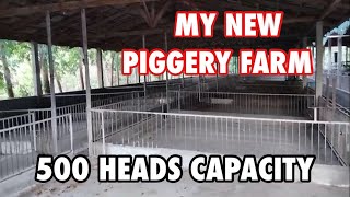 PIGGERY FARM  PIG FARMING IN THE PHILIPPINESNEGOSYOPHILIPPINES [upl. by Dugas]