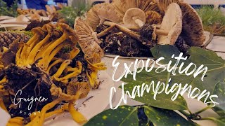 Les secrets des champignons révélés dans une exposition [upl. by Ailekat719]