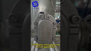 CIXIFM gear metering pump highspeed pump on site application  pumpingsolutions meteringpump [upl. by Ecirehc]