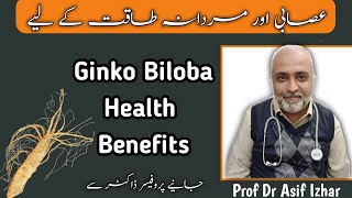 Ginkgo Biloba Benefits In UrduHindi  Ginkgo Biloba Side Effects  Dr Asif Izhar [upl. by Beard115]