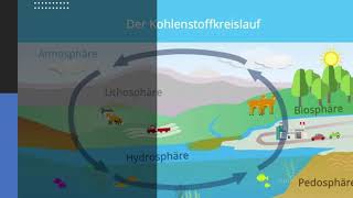 Der Kohlenstoffkreislauf einfach erklärt [upl. by Annet]