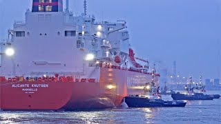 EVENING MARINE TRAFFIC AT ROTTERDAM PORT  4K SHIPSPOTTING ROTTERDAM NETHERLANDS 2023 [upl. by Everard]