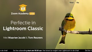 Masterclass Perfectie in Lightroom Classic met Tom Reuvers  Zoomnl [upl. by Filippa]