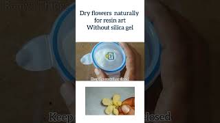 Lets dry flowers without silica gel  dry resin flowersresinflowers resinartist [upl. by Albric867]