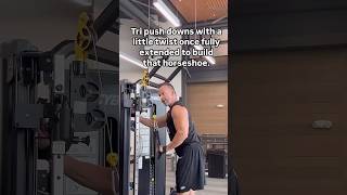 Horseshoe Triceps fitfam gym goals journey triceps athletes gymlife fitnesstips fit arms [upl. by Christianity190]