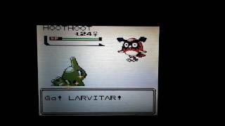 Pokémon Crystal Kaizo Odd Egg Shiny Larvitar [upl. by Kreitman]