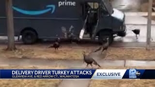 Turkey takeover of Wauwatosa no laughing matter for delivery drivers [upl. by Wylde333]