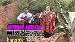 Antonieta Antezana  MIX malvas tikita [upl. by Lavinie]