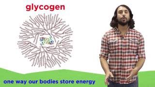 Carbohydrates Part 2 Polysaccharides [upl. by Yntirb]